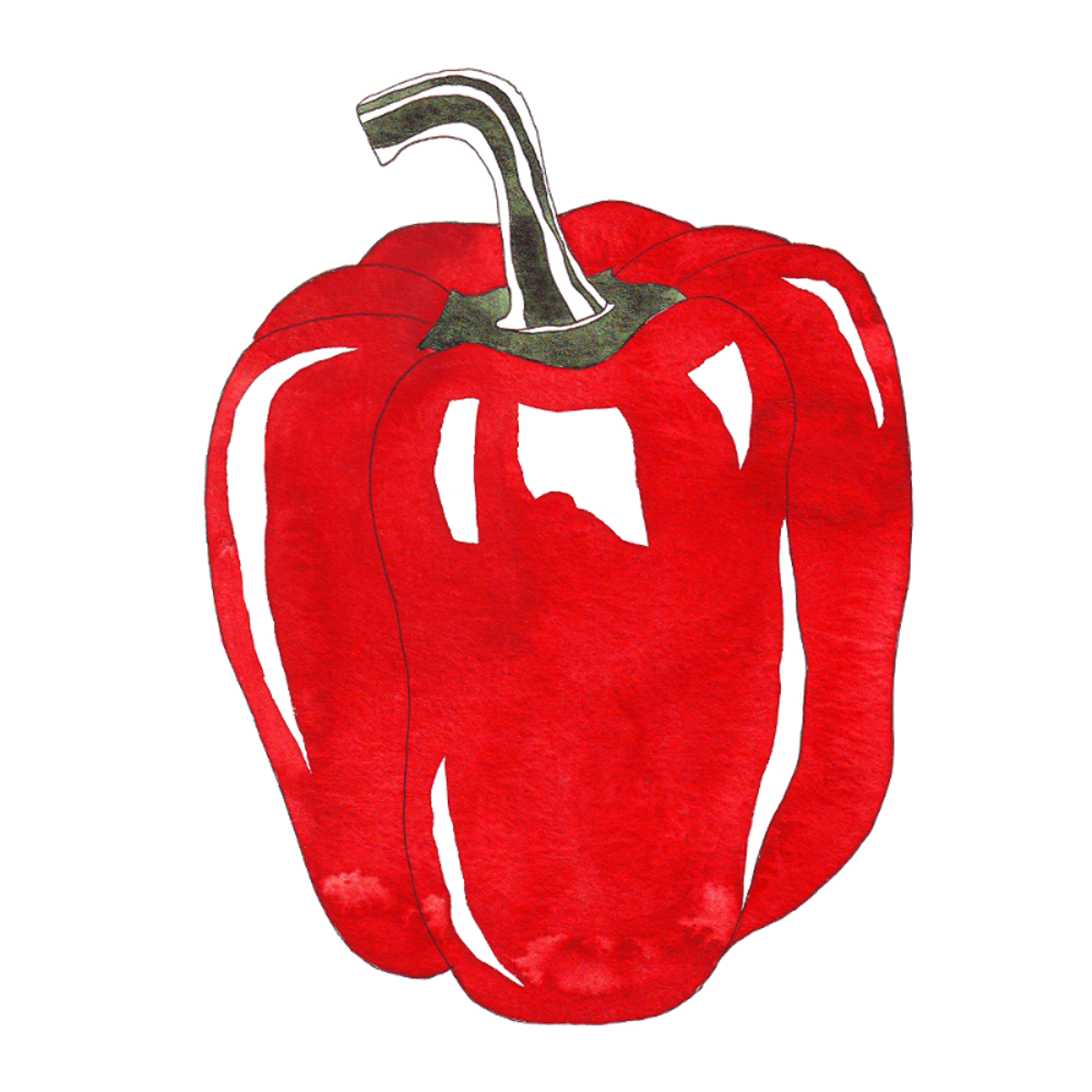 bell pepper